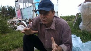 Выращивание   вешенки