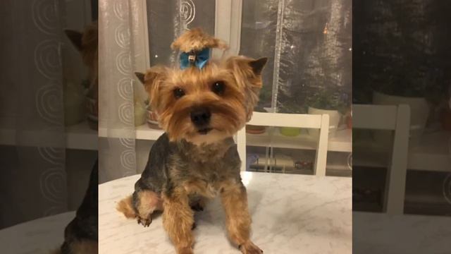 Я КРАСИВ!!! смотреть онлайн