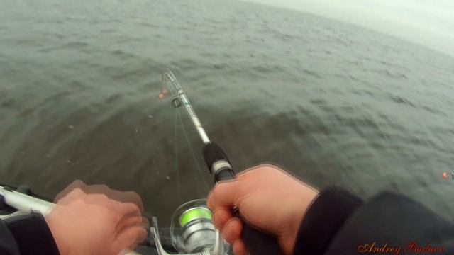 ловля корюшки с лодки на финском заливе смотреть онлайн