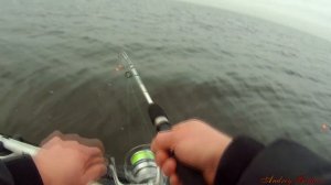 ловля корюшки с лодки на финском заливе