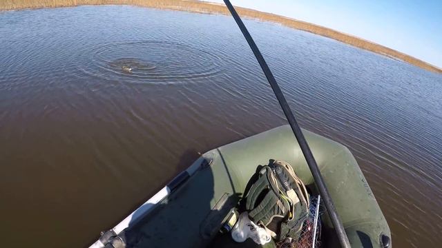 МОРСКАЯ ПЛОТВА на Рыбинском водохранилище смотреть онлайн