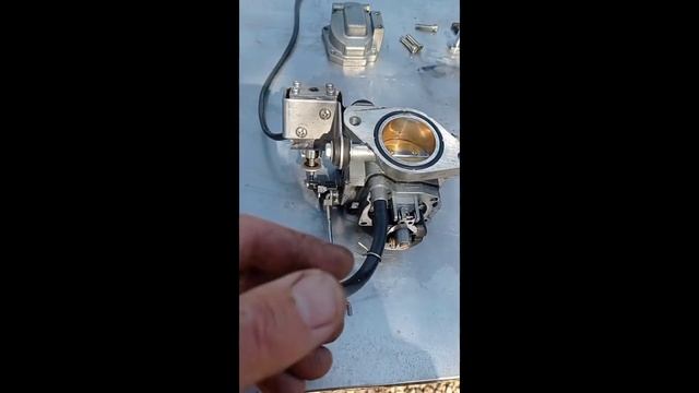 Обслуживание и ремонт мотора Yamaha 40 смотреть онлайн