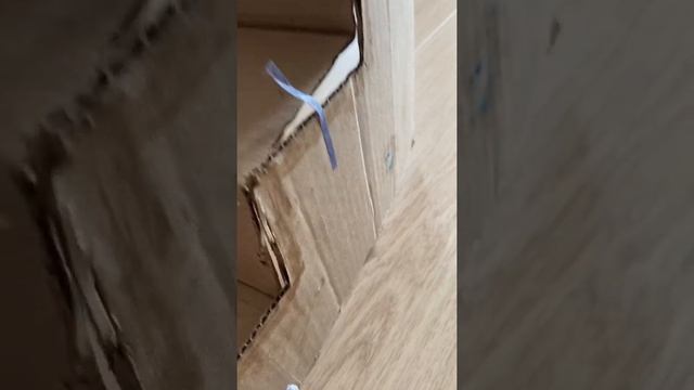 Как сделать дом для собак из картона смотреть онлайн