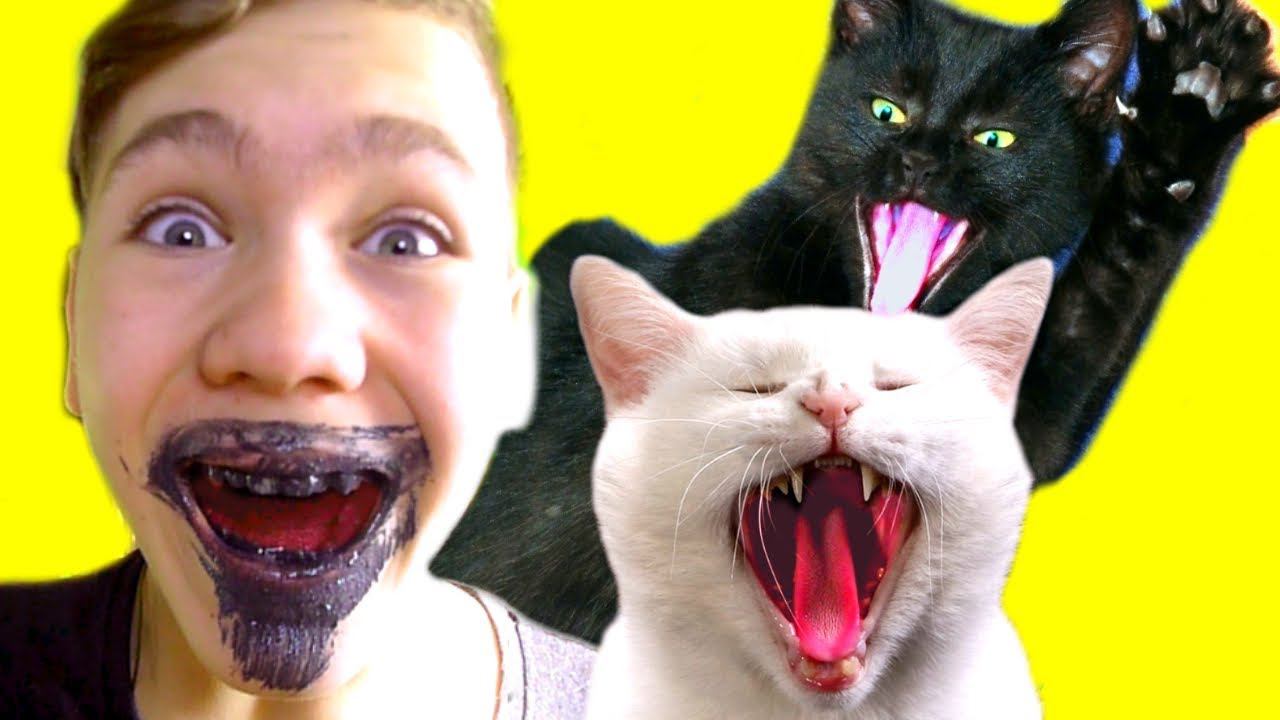 ПРОВЕРЯЕМ  вкусные  ЛАЙФХАКИ из ТИК-ТОКА с КОШКАМИ!