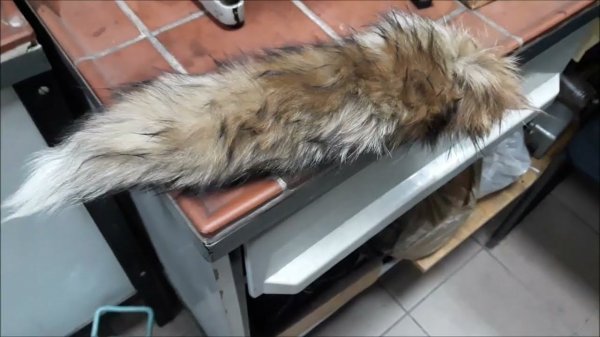 Лисий хвост (Life) / Fox tail