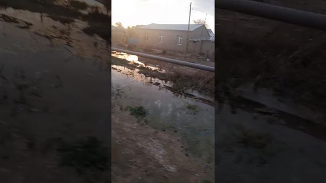 сув исрофгарчилиги термиз шахри гулистон махалласи смотреть онлайн