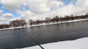 Xesta Black Star Hard B85MHX, обзор на воде, зимний спиннинг