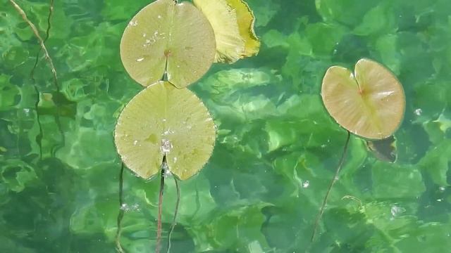 Nikon Coolpix S9900 Review