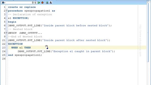 Oracle PL/SQL exceptions PQL012 смотреть онлайн