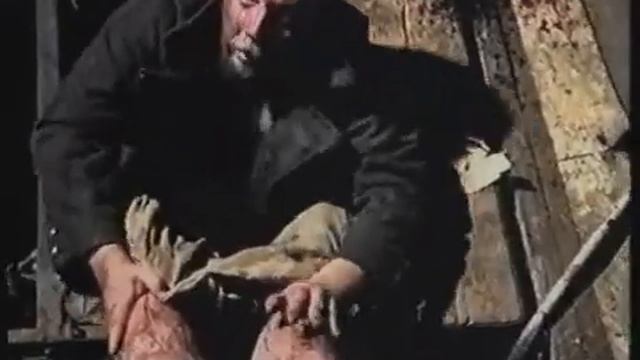 зелёный слоник пахом орёт в яме смотреть онлайн