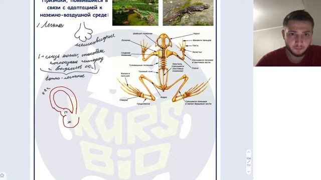 Зоология 6 (Земноводные)  Годовой ОГЭ'23.