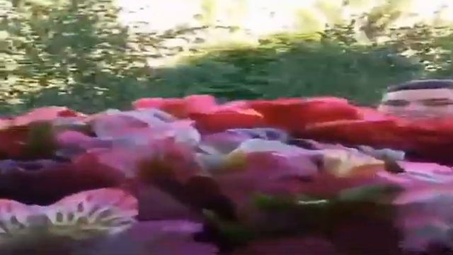 Поздравление с Днем Рожденья любимой Анны