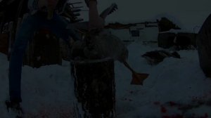 Зарубили гусей на мясо. Как забить гуся.