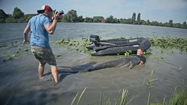 Мой самый большой сом / huge catfish смотреть онлайн