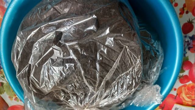 ТОМАТНЫЕ ГНОМЫ КОГДА ПОСЕЯТЬ ДЛЯ ОТКРЫТОГО ГРУНТА В СИБИРИ . ТОМАТЫ ИЗ СЕРИИ ТОМАТНЫХ ГНОМОВ смотреть онлайн