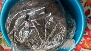 ТОМАТНЫЕ ГНОМЫ КОГДА ПОСЕЯТЬ    ДЛЯ ОТКРЫТОГО ГРУНТА  В СИБИРИ . ТОМАТЫ  ИЗ СЕРИИ ТОМАТНЫХ ГНОМОВ