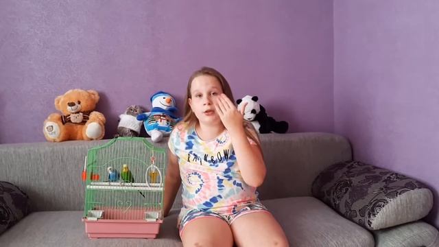 КАК УЗНАТЬ ВОЗРАСТ ВОЛНИСТОГО ПОПУГАЯ? смотреть онлайн