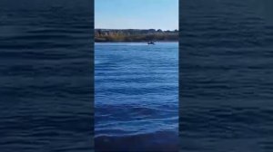 Самодельный Гидроцикл с плм Пеликан