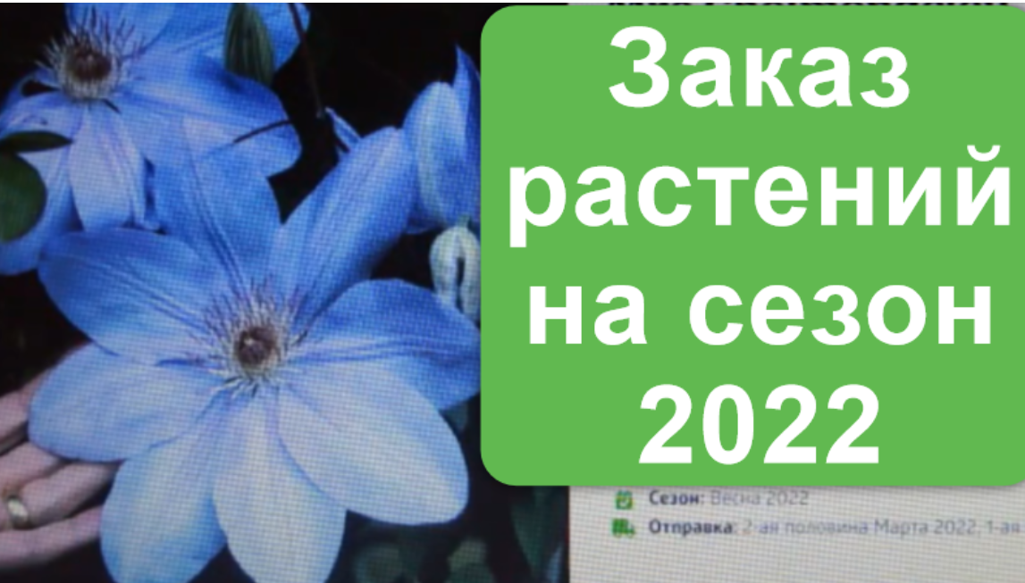 Заказ растений в питомнике "Пулков сад". смотреть онлайн