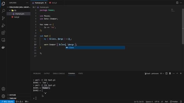 Perl Mouse (OOP) #5: Methods - Understanding the Basics смотреть онлайн