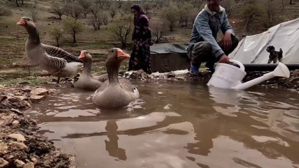 A building for love. Progress in building a big house for everyone