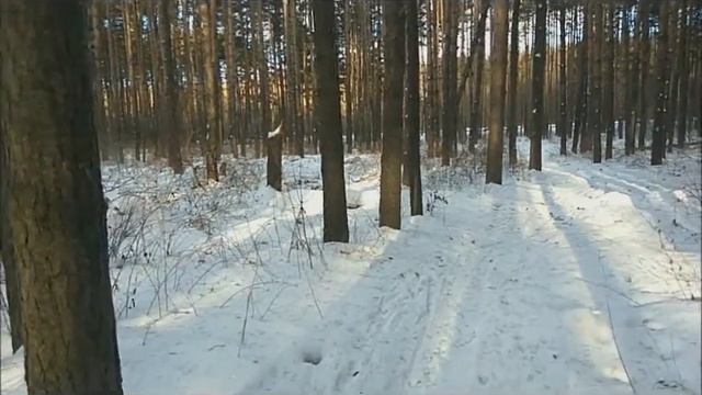 бла бла кар отзыв смотреть онлайн