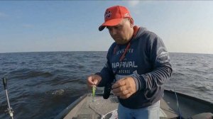 Рыбинское водохранилище - Рыбалка с гидом