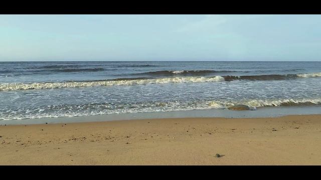 Белое море | Звуки природы смотреть онлайн