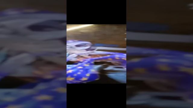 ха смотреть онлайн