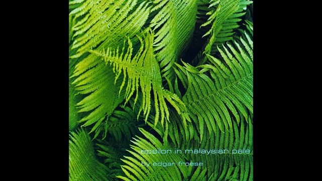 Edgar Froese - Epsylon in Malaysian Pale (from the album "Epsylon in Malaysian Pale") смотреть онлайн