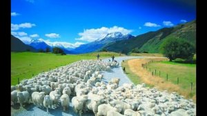 Интересные факты о Австралии