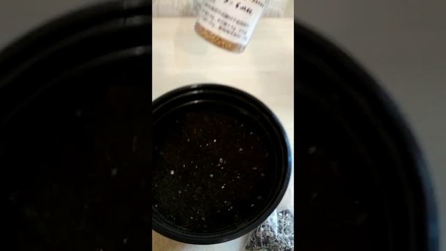 ризомы ахименесов посадка февраль смотреть онлайн