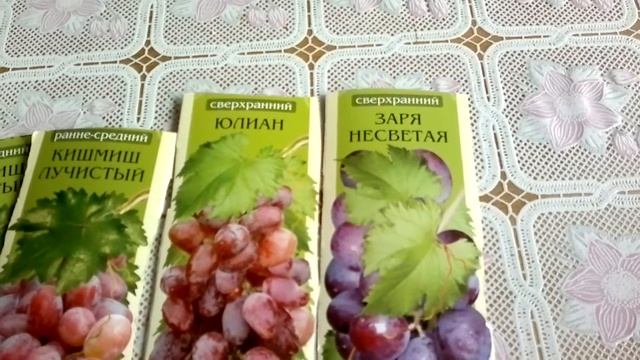 виноград от "произведено в Сибири" смотреть онлайн