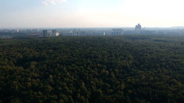 Орехово-Борисово - Лесопарк - СК Вершина смотреть онлайн