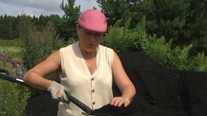 Какой торф для голубики лучше подходит?