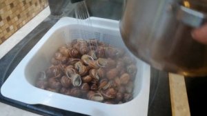 Как готовить улиток "ЭСКАРГО" в домашних условиях. Видеорецепт приготовления улиток! Готовим улиток