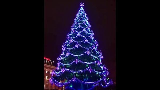 Елка на площади в Воронеже 2016 / Christmas tree in Voronezh 2016 смотреть онлайн