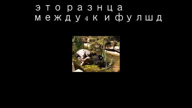 Как стать свадебным фотографом . смотреть онлайн