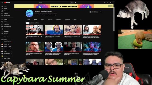 Wings catch-up. DSP and Asmongold, Cyraxx(?), and other react content | 003 смотреть онлайн