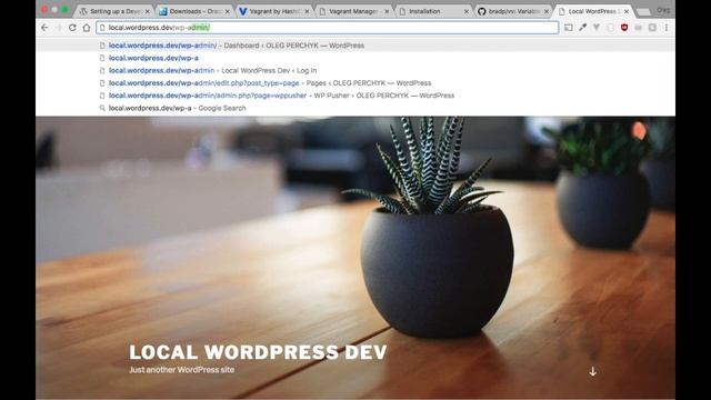 Getting Started with WordPress: Setting Up Local Development Environment смотреть онлайн
