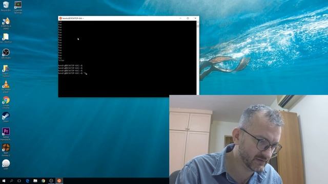 Copy & Paste in the Windows bash terminal is interesting смотреть онлайн