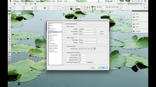 InDesign CS 5.5 Picas to Inches смотреть онлайн