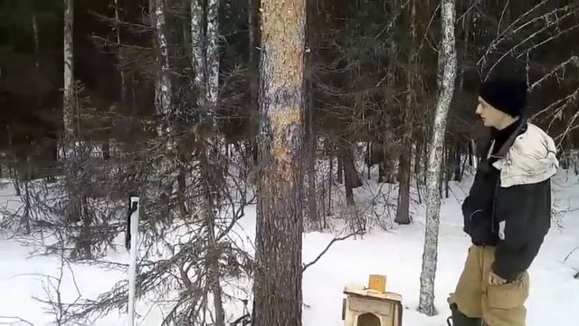 Гнёзда для уток смотреть онлайн