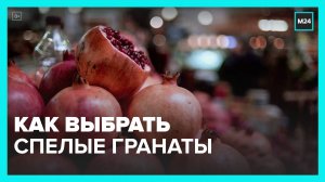 Эксперты рассказали, как выбрать спелые гранаты - Москва 24