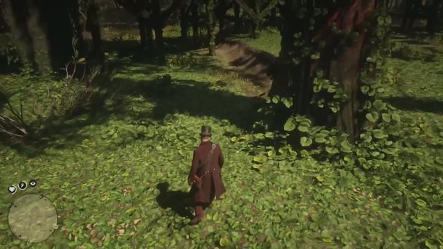 RDR 2 | Best Way For Gathering The Oleander Plant! | Red Dead Redemption 2