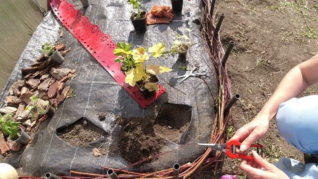Клумба продолжение смотреть онлайн