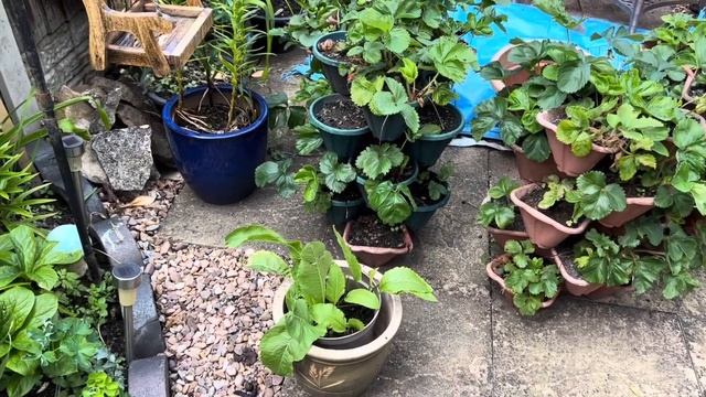 Переезд. Нашла место для гнома и как мы с соседями шпионим друг за другом. 401 Жизнь в Англии смотреть онлайн