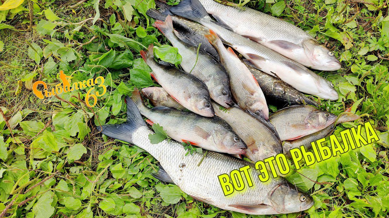 Я САМ СЕБЕ ЗАВИДУЮ. ВОТ ЭТО РЫБАЛКА, УДАЛАСЬ. ВЫШЛИ В ДОЖДЬ НА ВОЛГУ смотреть онлайн