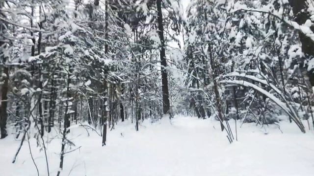Свет небес высокий и блестящий снег - в объятьях зимней сказки. Снежный Ангел. ПРОДОЛЖЕНИЕ. Часть 2 смотреть онлайн