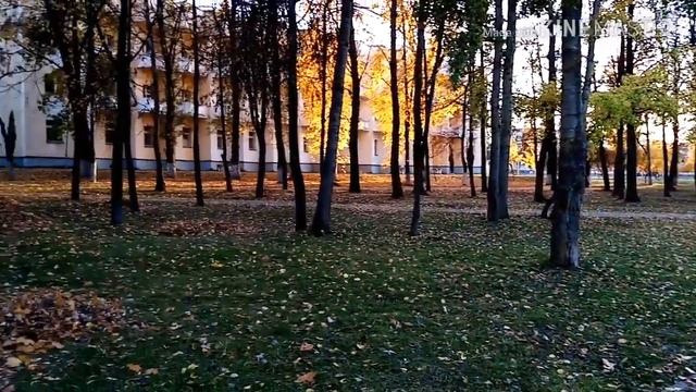 Прогулка по парку Фестивальному в г. Гомеле, Беларусь смотреть онлайн